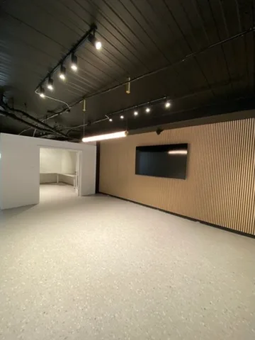 Track spotlights and a linear batten across a black raked ceiling in a commercial fit out